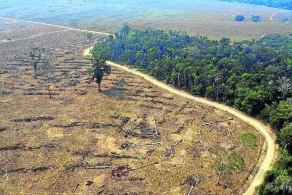 Desmatamento no Cerrado cresce 14,6% no último ano e atinge 6,5 mil km², aponta Inpe